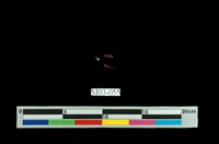 藏品(尖晶石)的圖片